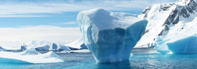 iceberg biodiversità